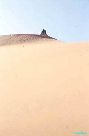 Dune lookout
