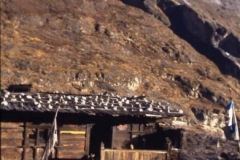 Trekking lodge, Langtang Nepal