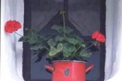 Typical village window decor, Hungary