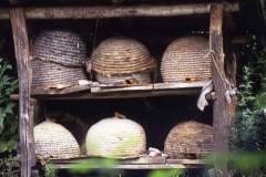 Beehives, Hungary