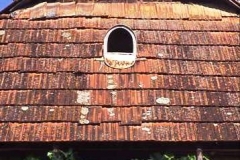 Village house architecture, with inbuilt dovecot, and vine-shaded verandah, Hungary