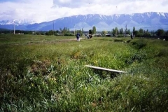 Rural view, Kazakhstan