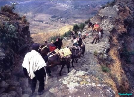 Mule jam descending toward Lalibela ©Robin Callender-Smith