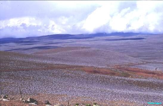 Endless views Bale National Park Ethiopia