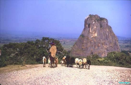 The Chinese road, central Ethiopia