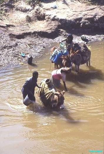 Collecting water, southern Ethiopia