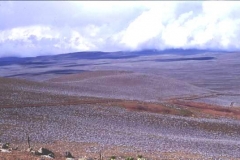 Endless views Bale National Park Ethiopia