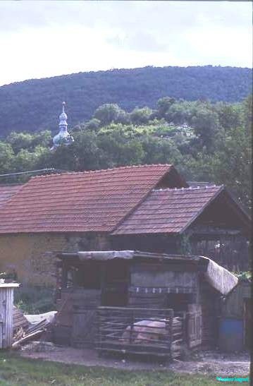 Village house with pigs, Hungary