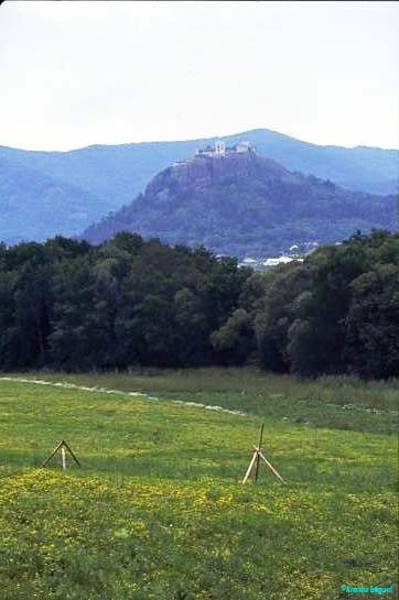 Castle, possibly Bodrogvar, NE Hungary