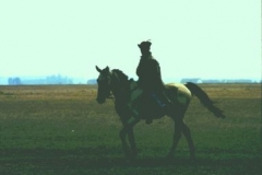 Magyar horseman Hortobagy