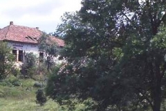 Picnic near Aggtelek, Hungary. Snakes love this location as they wait for rodents looking for fallen fruit