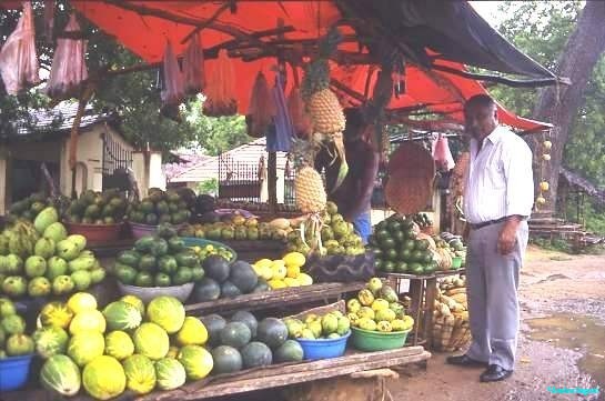 Roadside fruit stall Sri Lanka