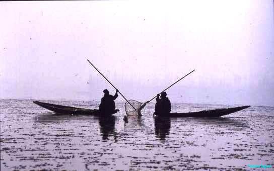 Fishermen, Dal Lake, Kashmir