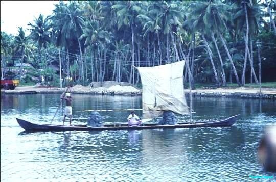 Kerala backwaters canoe