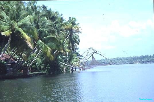 'Chinese' nets, Kerala