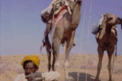 Durga Das and his camels