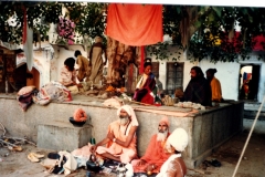 Pushkar-central.-All-manner-of-devotees-gather-at-this-tree-one-man-standing-on-one-leg-for-years-