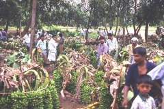 Banana market, Sri Lanka
