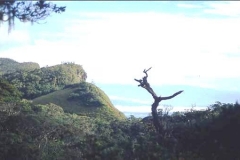 World's End, Horton Plains, Sri Lanka, where there is a sudden drop to the southern lowland coast