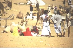 Three women, three men, Pushkar