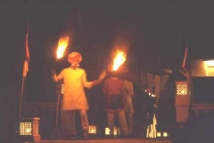 Flamboyant retainer, Mandawa