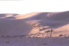 Lone figure on dunes, Tadna, Rajasthan