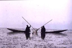 Fishermen, Dal Lake, Kashmir
