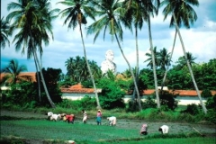 work-and-leisure-anuradhapura