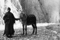 Shepherd and mule