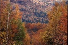 autumn-highway-finnmark