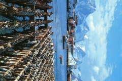 Lofoten fisheries, Hamnoya