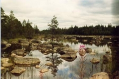 Almost surreal jewel of wetland and forest, repeated throughout Sweden