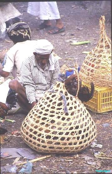 Chicken in a basket ! Yemeni market