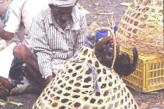 Chicken in a basket ! Yemeni market