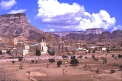 Mud brick tower houses Shibam, Hadramhaut
