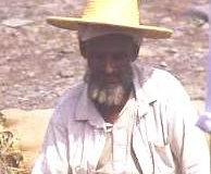 Yemeni vegetable seller