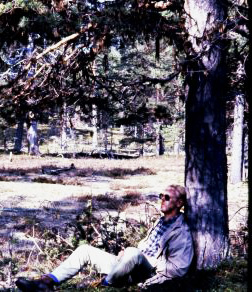 Daydreaming under a tree in the Swedish forest