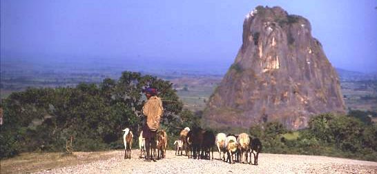 The Chinese road, central Ethiopia with a roaming shepherd taking his flock to better pasture