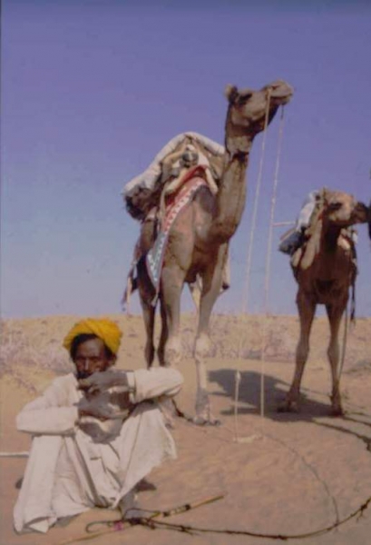 Story behind the Picture #3 The slowest camel in Rajasthan